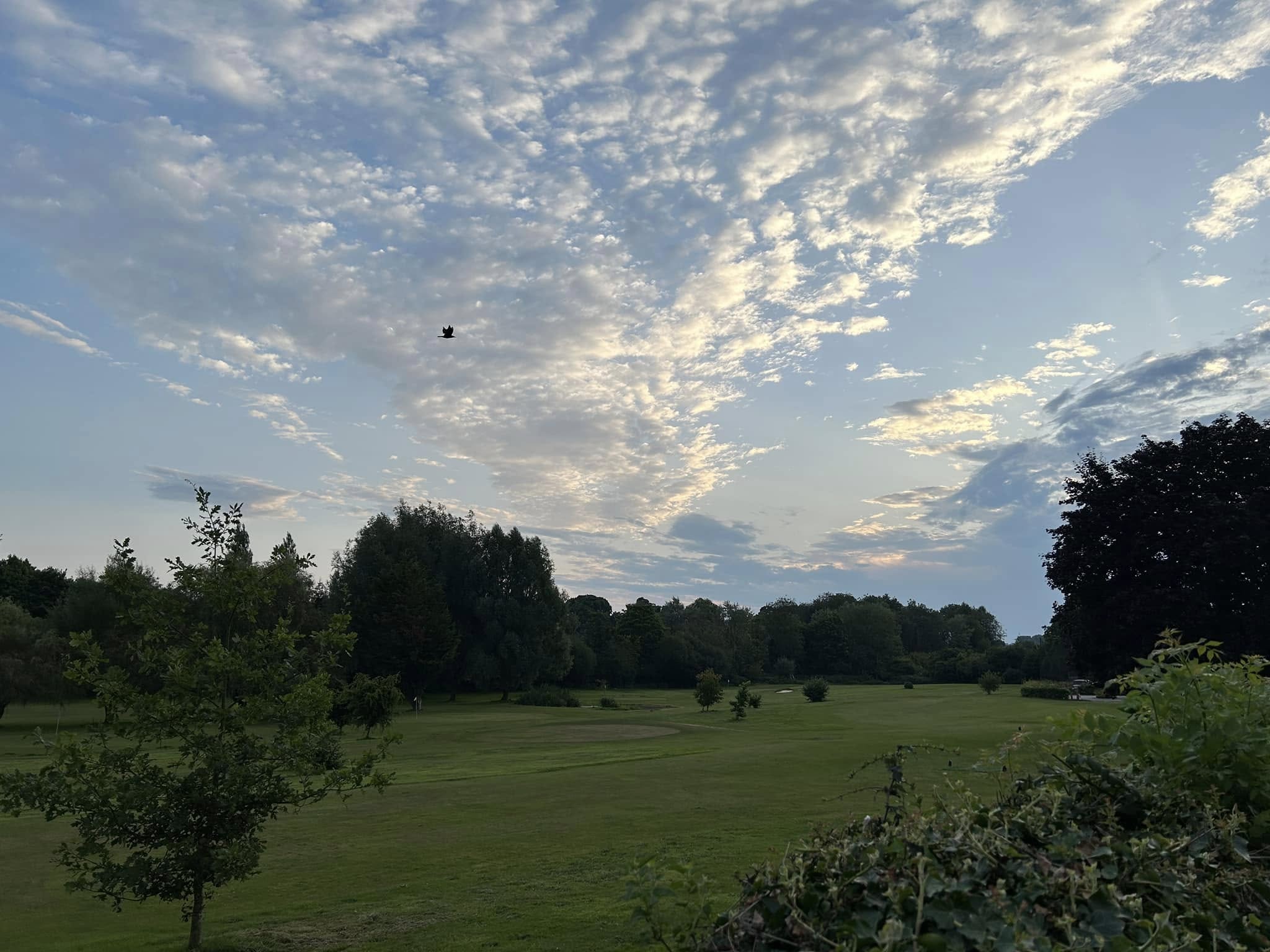 Town Meadow Golf Club Seeks New Members – Join Today for an Unforgettable Golf Experience
