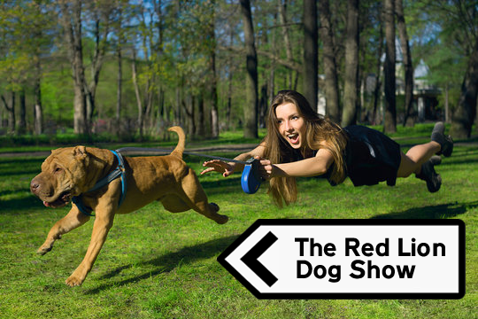The Rovers Return at Overton pub dog show
